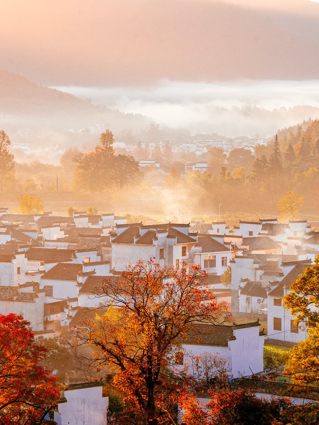 这才是秋天该有的样子，国内没有平替！_1_陈帆fotochen_安徽徽州-来自52tours 我爱旅游网